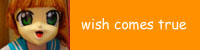 wish comes true
